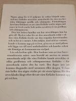 Hur apan miste pälsen och kom upp på två ben 