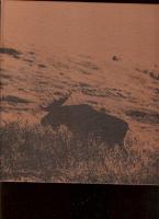 Vildmark i norr - Alaska Canada