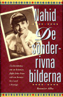 De s&ouml;nderrivna bilderna