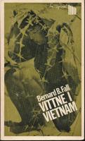 Vittne i Vietnam