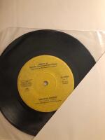 R&ouml;dluvan lj&ouml;g! En bok om vargen i verkligheten