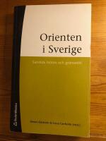 Orienten i Sverige - samtida m&ouml;ten och gr&auml;nssnitt 