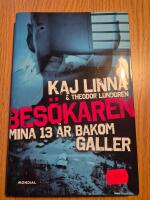 Bes&ouml;karen : mina 13 &aring;r bakom galler