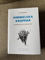Himmelska kroppar : inkarnation, blick, kroppslighet