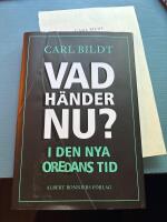 Vad h&auml;nder nu? : I den nya oredans tid
