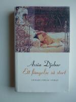 Ett f&auml;ngelse s&aring; stort : roman