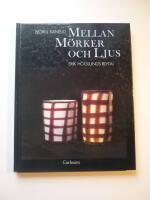 Mellan m&ouml;rker och ljus : Erik H&ouml;glunds 80-tal