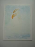 Pelle Gedda kappseglar & G&ouml;sta Werner m&aring;lar (bibliofilutg&aring;va med litografi)