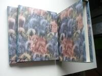 Carl Clercks fj&auml;rilsbok. Icones insectorum rariorum : 1759-1764. (faksimil, bibliofilutg&aring;va)