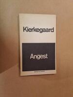 Begreppet &aring;ngest