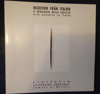 BILDLYRIK FR&Aring;N ITALIEN. IL MIRAGGIO DELLA LIRICIT&Aacute; ARTE ASTRATTA IN ITALIA