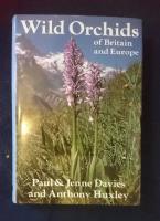 Wild Orchids of Britain and Europe