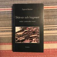 Sk&auml;rvor och fragment