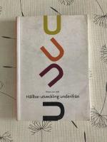 H&aring;llbar utveckling underifr&aring;n? : lokala politiska processer och etiska v&auml;gval