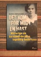 Det kom f&ouml;r mig i en hast : historien om barnam&ouml;rderskan Ingeborg Andersson