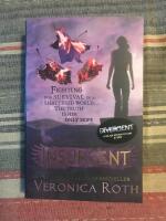 Insurgent (II)