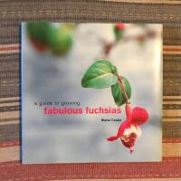 A guide to growing Fabulous Fuchias