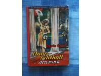 Anne-Vildkatt i Amerika