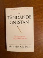 Den t&auml;ndande gnistan : hur sm&aring; faktorer kan f&ouml;r&auml;ndra v&auml;rlden