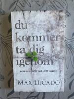 Du kommer ta dig igenom : hopp och tr&ouml;st n&auml;r livet h&auml;nder