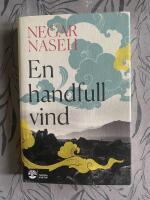 En handfull vind
