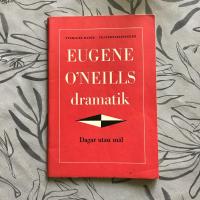 Dagar utan m&aring;l