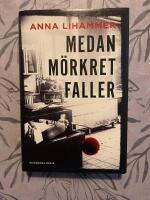 Medan m&ouml;rkret faller