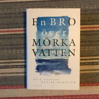 En bro &ouml;ver m&ouml;rka vatten