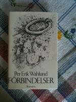 F&ouml;rbindelser : aderton essayer