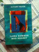 Ilona kommer med regnet