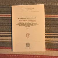 Anglo-Irish and Irish literature : aspects of language and culture