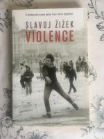 Violence : six sideways reflections