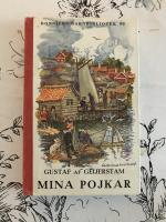 Mina Pojkar