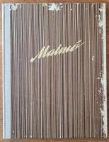 Malm&ouml; - ett bildverk