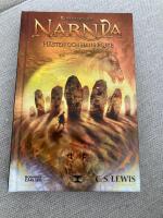 H&auml;sten och hans pojke