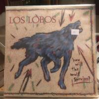 How will the wolf survive