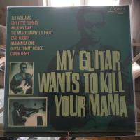 My Guitar Wants To Kill Your Mama