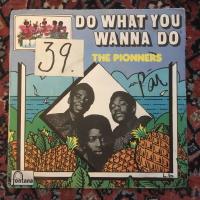 Do what you wanna do
