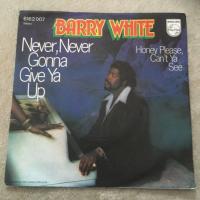 Never never gonna give ya up