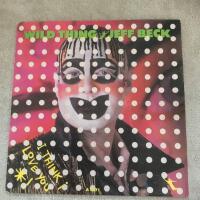 Wild thing / Gets us all in the end