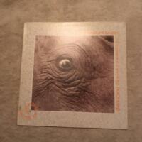 Masters of psychedelia