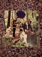 In the woodland of weir