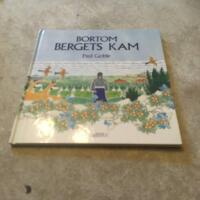 Bortom bergets kam