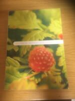 Odling av &aring;kerb&auml;r och all&aring;kerb&auml;r