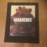 Habaneros : M&ouml;ten i Havanna