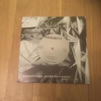 Skyline angel / The sound isn't organized yet