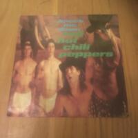 Knock me down / Punk rock classic / Pretty little ditty 