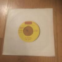 Too experienced / Little blue bird