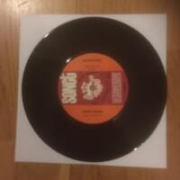 Maria maria / The hunter