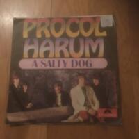 A salty dog / Long gone geek